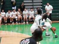 Mater Academy vs. Archbishop McCarthy Girls Varsity Basketball - 11/19/2024