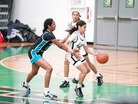 Mater Academy vs. Archbishop McCarthy Girls Varsity Basketball - 11/19/2024