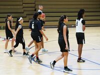 Cooper City Optimist Fall 2024: Magic vs. Suns Girls Basketball Matchup
