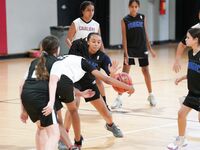Cooper City Optimist Fall 2024: Magic vs. Suns Girls Basketball Matchup