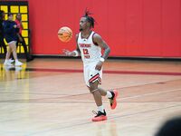 Sagemont vs. Elite Academy: High School Basketball Showdown on November 22, 2024