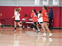 Elite 60 Middle School Girls Basketball Showcase @ Cardinal Gibbons 2024