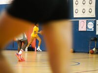 Former WNBA Star Inspires Young Athletes at Cooper City Optimist Practice