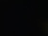 Team Venom vs. MADE Performance: Miami Pro League Week 1 Showdown