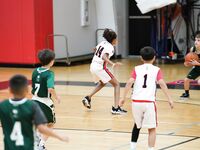 Sagemont Elementary Triumphs Over Summit Quest in Basketball Showdown