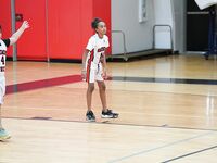 Sagemont Elementary Triumphs Over Summit Quest in Basketball Showdown