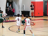 Sagemont Elementary Triumphs Over Summit Quest in Basketball Showdown