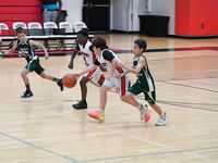 Sagemont Elementary Triumphs Over Summit Quest in Basketball Showdown