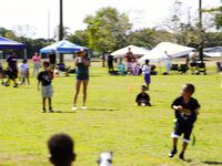 Dolphins Flag Football -Titans vs Jaguars