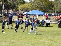 Dolphins Flag Football -Titans vs Jaguars