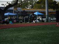 Jesse Holt Invitational