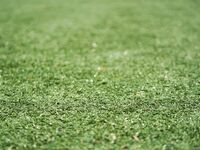 Jesse Holt Invitational