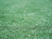 Jesse Holt Invitational