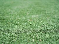 Jesse Holt Invitational