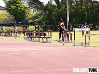 Hallandale Track Meet Photos – March 15, 2025 | Over 1K High-Quality Images