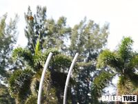 Hallandale Track Meet Photos – March 15, 2025 | Over 1K High-Quality Images